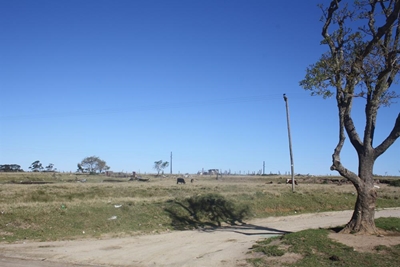 Farmers desperate for land