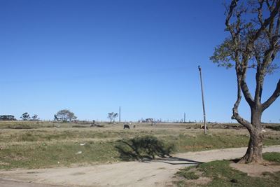 Farmers desperate for land