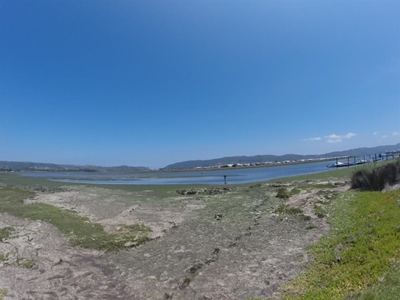 Sea lettuce not toilet paper