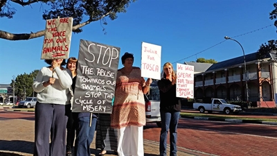 Animal cruelty case postponed