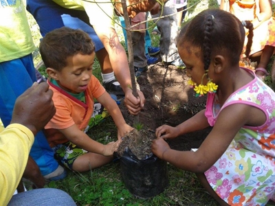 Arbor Week team plants 120 trees
