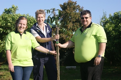 'Bark For Life Tree of Rememberance' by DBV geplant
