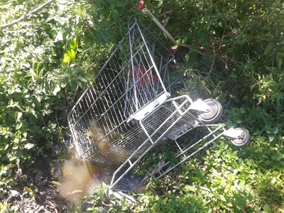Thieves drive shop owner off his trolley