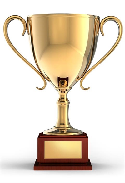 Nominasies vir toekenning ingewag