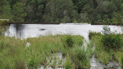 Long-term water resource plan for George