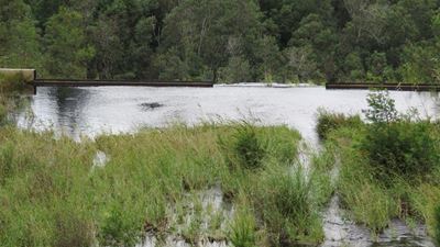 Long-term water resource plan for George