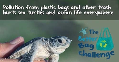 Reduce plastic, save the environment