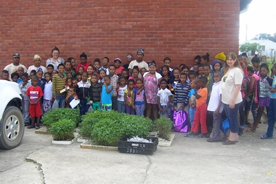 Tamatieplantjie-projek vir kinders