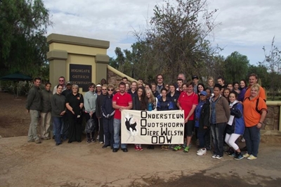 Stap saam met Oudtshoorn Dierewelsyn