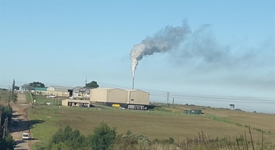 Emissions within legal limits