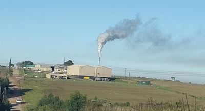 Emissions within legal limits