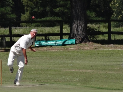 Social cricket for the sport of it