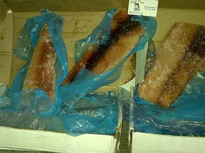 Viskoop 'n groot verneukspul