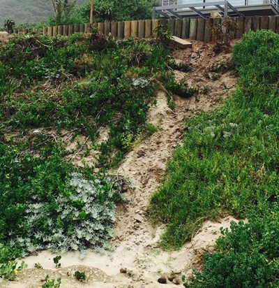 Dunes: our first line of defence