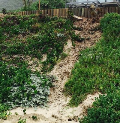 Dunes: our first line of defence