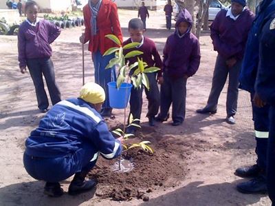 Riversdal WoF vier boomplantweek
