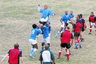 Blues steeds onoorwonne