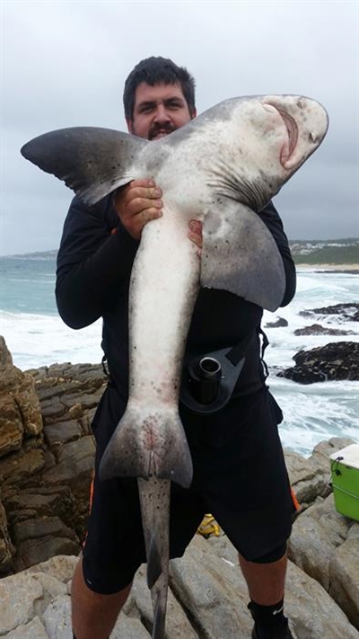 Stilbaai katrol die punte in