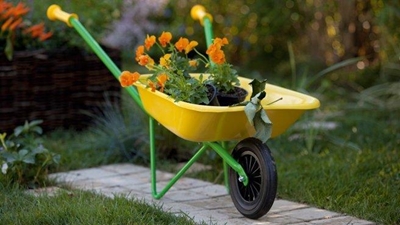 Inskrywings vir blommeskou is gratis