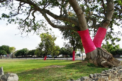 Stap vir 'Pink Trees for Pauline'