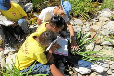 Bybelstudie in die natuur