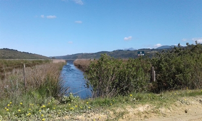 Protecting wetlands: What you can do