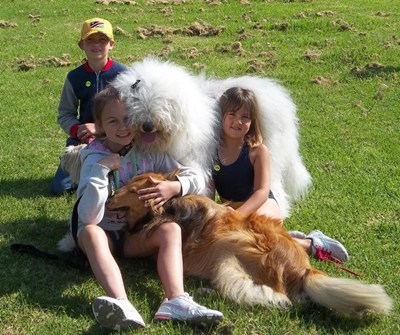 SPCA Woof-athon barking good fun