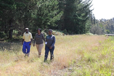 Working for Water to clear Witfontein fire break
