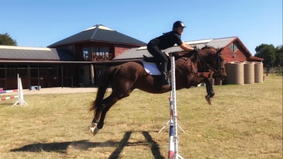 Zandelee offers riding lessons on your doorstep