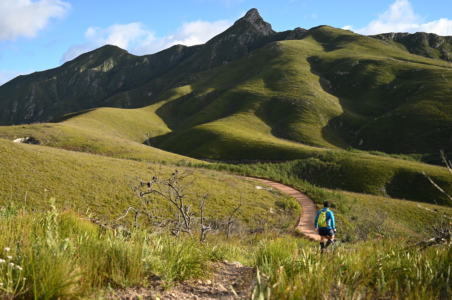 MUT becomes first African Trail Race to join UTMB World Series | George ...