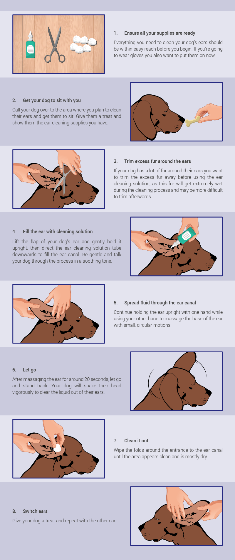 Cleaning your dog’s ears KnysnaPlett Herald