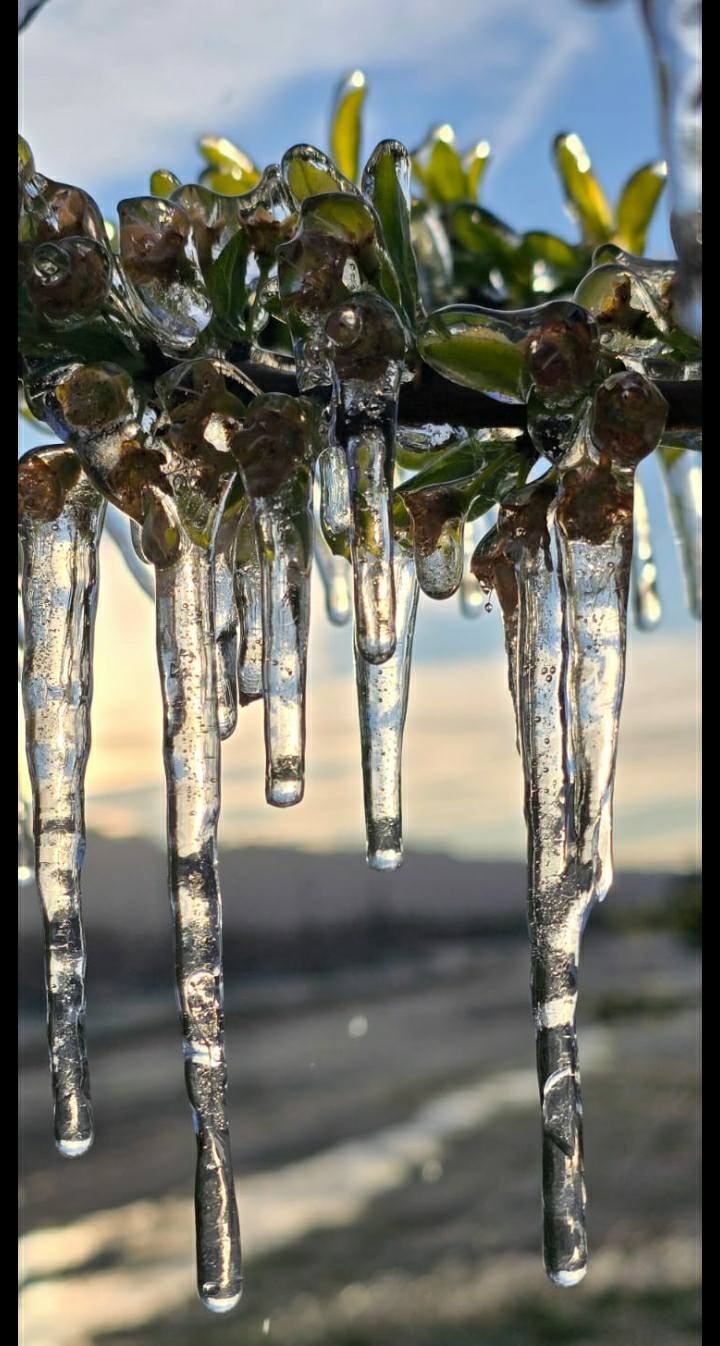 What happened to Spring? Weather Service explains why October is so ...