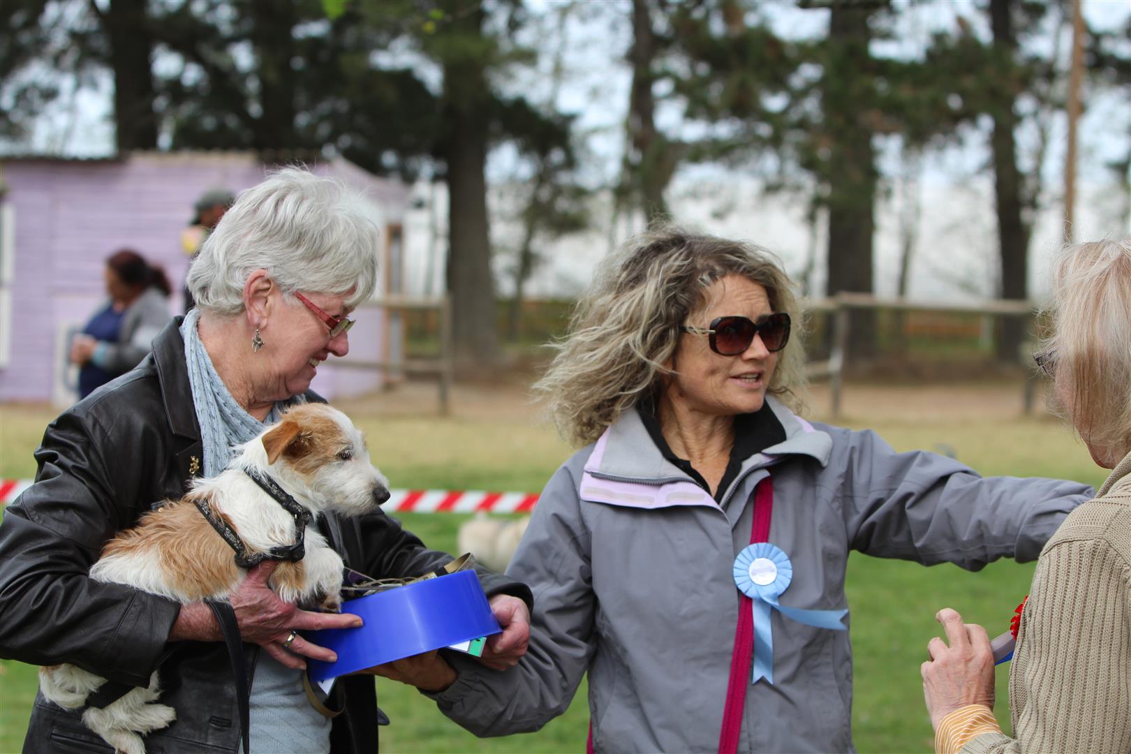 Oudtshoorn Dogs in Need dog show Herald