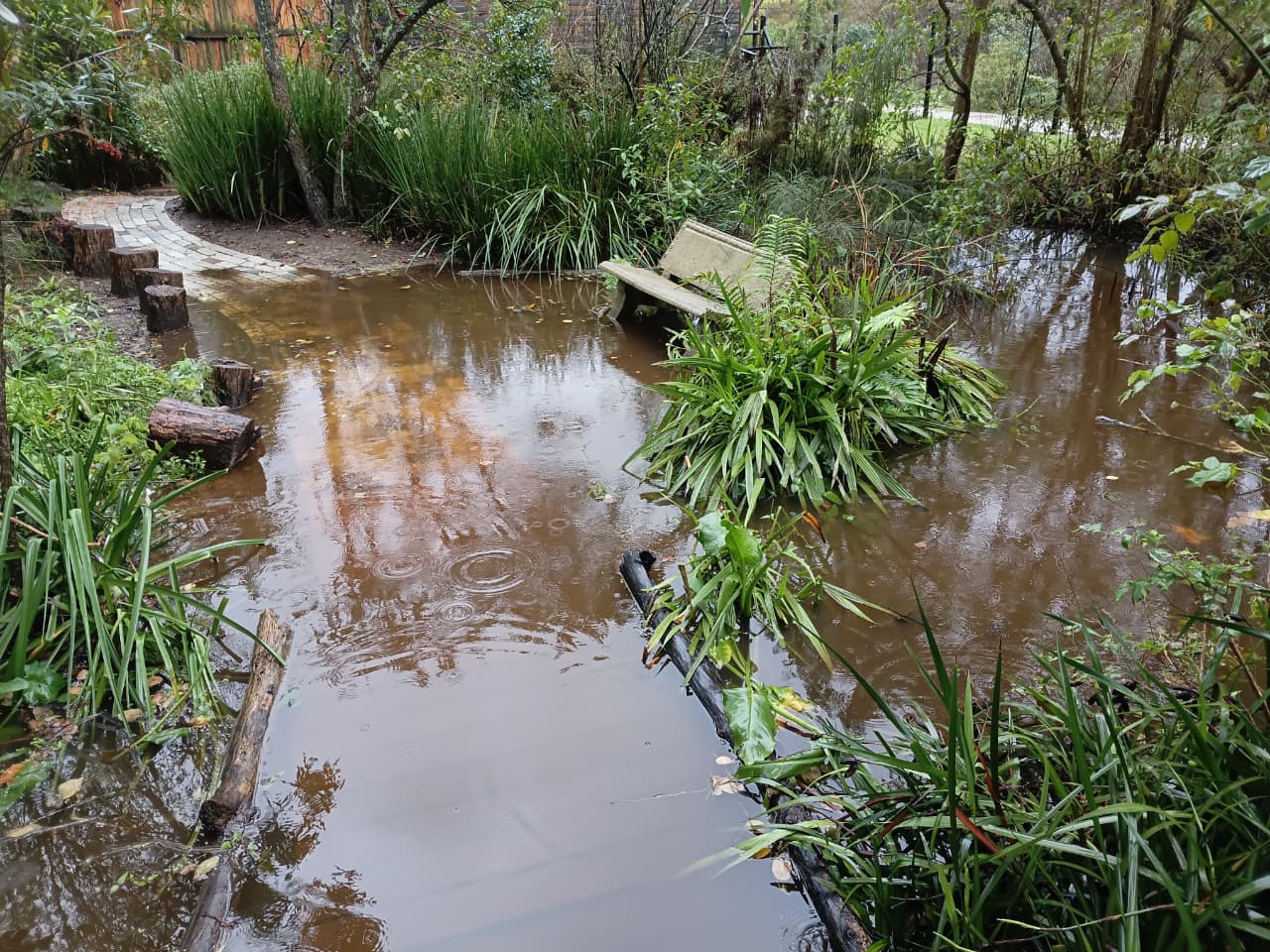 Relentless rain causes disruption in George, but no major damage ...