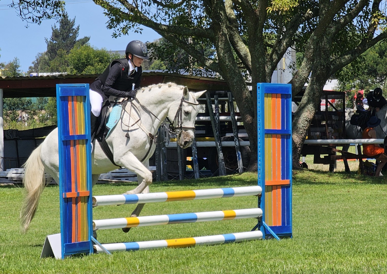 George Riding Club abuzz with young riders from afar | George Herald