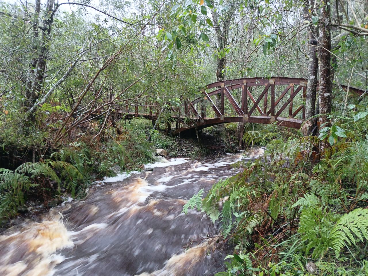 Relentless rain causes disruption in George, but no major damage ...